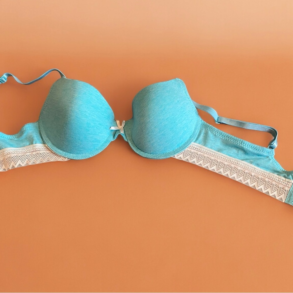 NWOT Lt Blue/White Bra